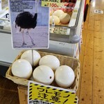 きのこ王国 - ダチョウの卵売ってます