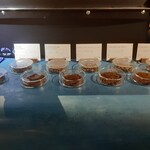 BonTin Cafe - 自家焙煎の珈琲豆がズラリ(20-07)