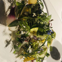 レフェルヴェソンス - 