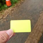 ラーメン二郎 - 小ブタのプラ券　700円