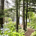 ブランジェ浅野屋 - カラーリーフガーデンの木々の向こうにお店があります