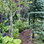 ブランジェ浅野屋 - 鹿が出てきたらいいのに…