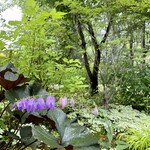 ブランジェ浅野屋 - 所々にお花もあります