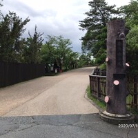 メインダイニングルーム 三笠 - 