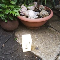 すし ふくづか - 