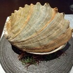 日本料理 TOBIUME - 素潜りで獲られた大きな黒鮑