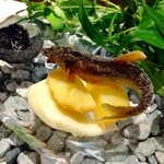 日本料理 TOBIUME - 