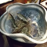 日本料理 TOBIUME - 長野天竜川の鮎