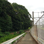 プレゼンテ スギ - JR佐倉駅からの道のり