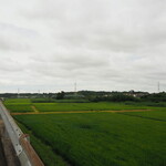 プレゼンテ スギ - JR佐倉駅からの道のり