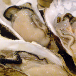 トロバコ - 生牡蠣！本日は兵庫産です。