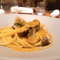 ecco - 