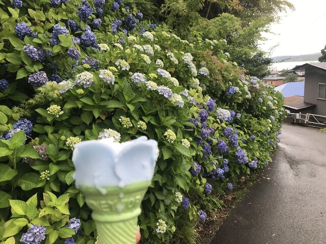 漁師旅館 親栄館 - 男鹿市その他（料理旅館）の写真