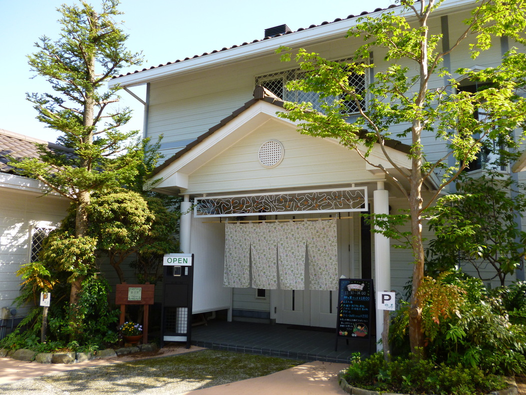 梛の葉 name=