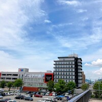 Seafood Dining 1932 - 