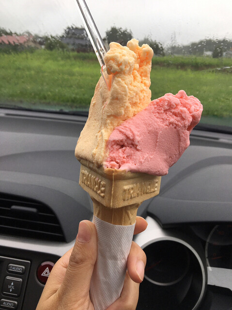 あぐりっこ金成 有壁 | 宮城県栗原市のジェラート・アイスクリーム