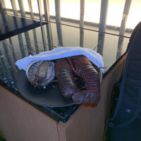 松阪牛 よし田 - 