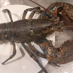 ビストロ ティアボ - 