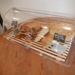 エスパイ クック コウベ - 