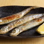 Shishamo with babies (3 animals)