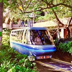 Hilton Waikoloa Village - 