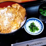 エアポート山形屋彩華 - 黒豚カツ丼