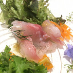 フィオッキ - 天草産 天然真鯛/山本柑橘園 弓削瓢柑