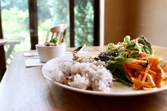 ひとやすみの庭 駿河小山 カフェ 食べログ ひとやすみの庭 駿河小山 カフェ 食べログ