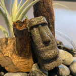 プレゼンテ スギ - 