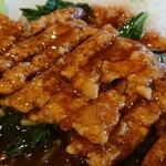 Hyaku Kou Tei - 台湾五香排骨飯
