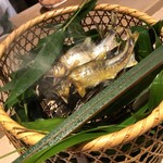 祇園 にしかわ - 