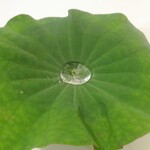 ラストノート - 