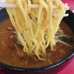手打ラーメン 珍来 - 麺アップ