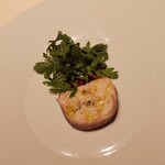 ヒカリヤ ニシ - 