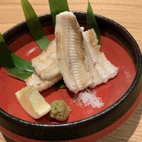 小野の離れ 博多本店 - 穴子の白焼き