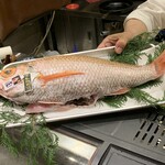 う越貞 - 能登の釣りの2kg越えのノドグロ