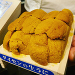 う越貞 - “便宜上2番”の大仙のキタムラサキ雲丹