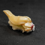 寿司 さいしょ - アオヤギ