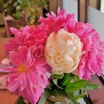 ウィンドー - 店内のご紹介です④