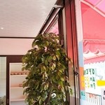 ウィンドー - 店内のご紹介です⑤