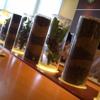 ドトールコーヒーショップ_2