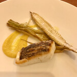ラガッツァ - 活け〆真鯛とヤングコーンのロースト