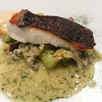 TRATTORIA CREATTA - メイン魚料理 鰈のポワレ