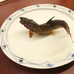 日本料理 久丹 - 