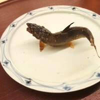 日本料理 久丹 - 