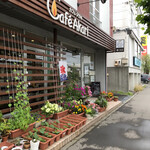 カフェ・アカリ - 