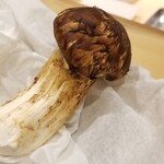 馳走 啐啄一十  - 早松(愛媛県産)