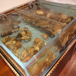 水槽・・・ええ感じ・・