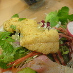 うに むらかみ - ちゃんとうにも乗り・・