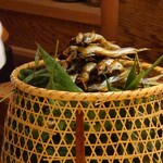 祇園 にしかわ - 